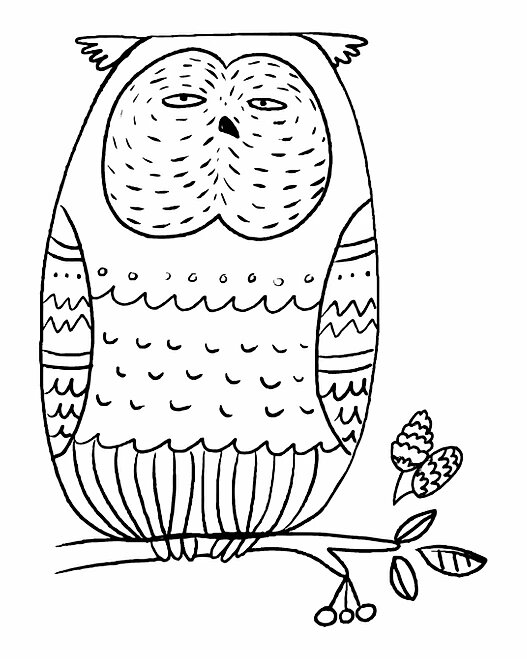 OWL-2.jpg